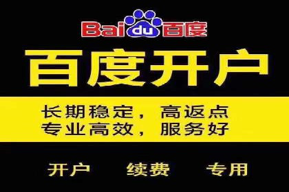 百度竞价广告：实战案例助力企业营销升级