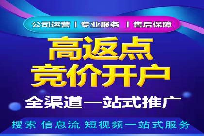 谷歌SEM广告投放策略解析：一家旅游公司的成功案例