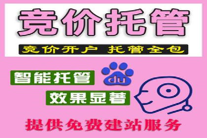 托管SEM竞价策略：打造高性价比广告投放